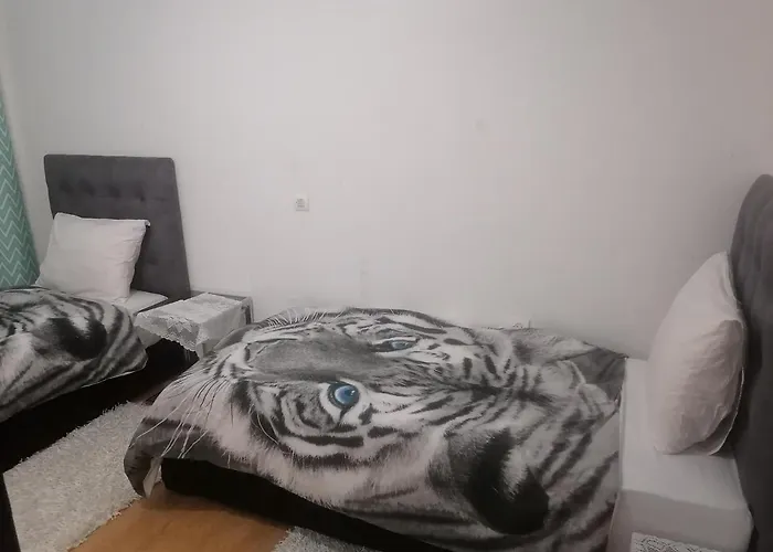 Huge Cozy Apartment